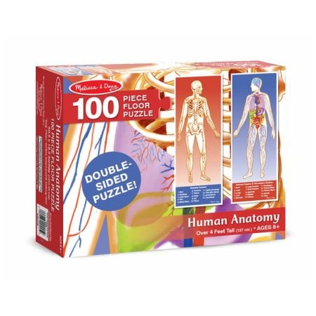 Human Anatomy Puzzle