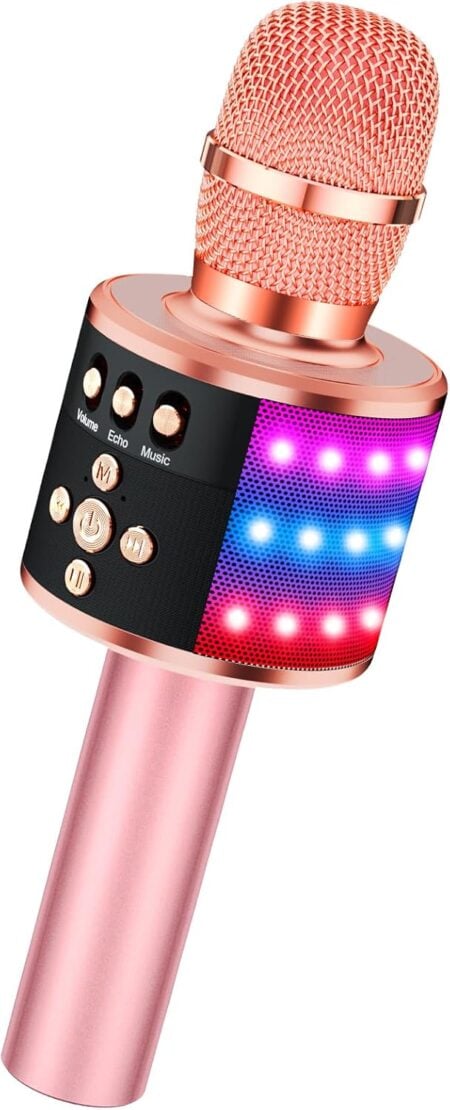 Karaoke Microphone